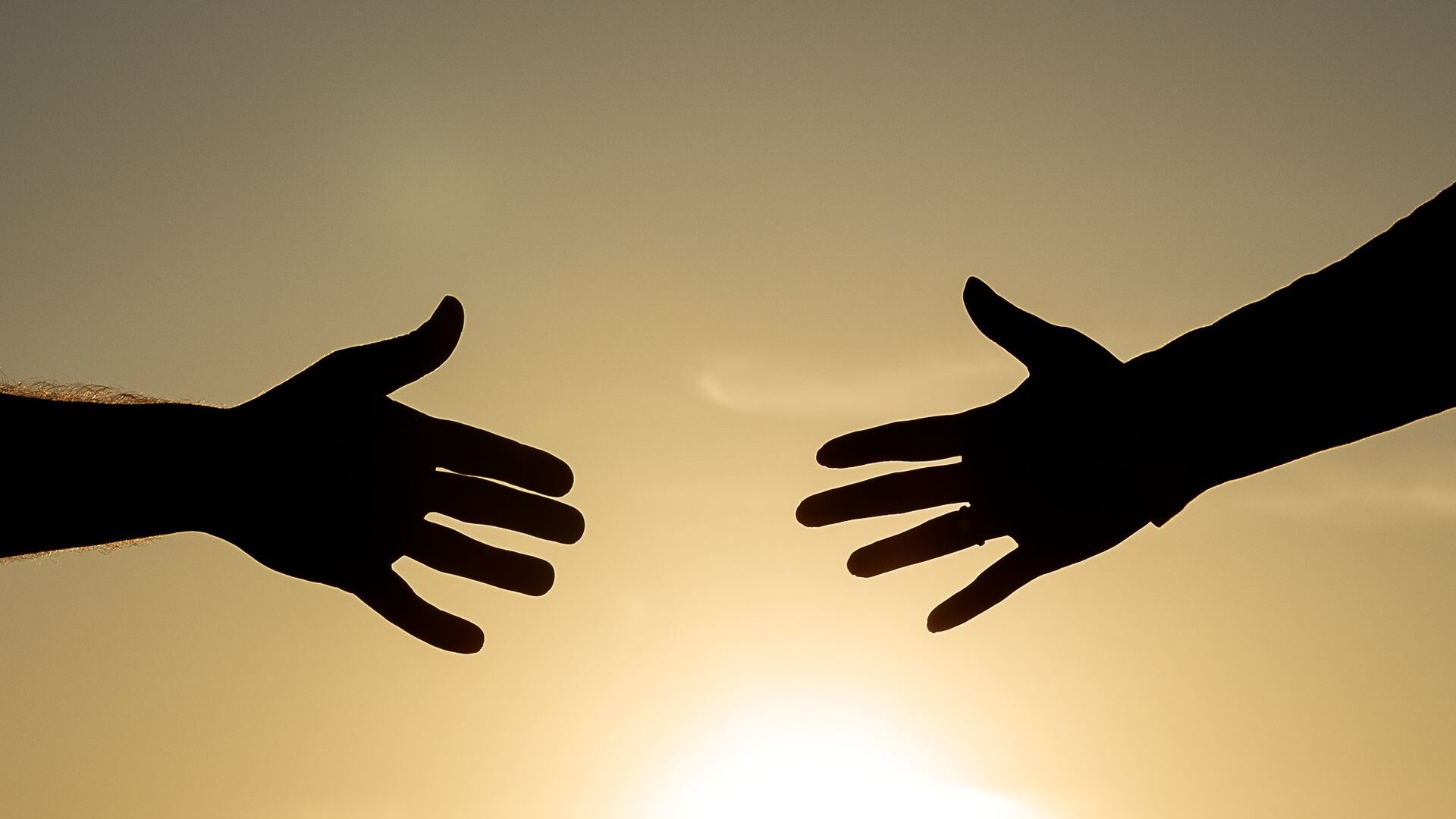 Silhouetted hands reaching towards each other with the sun setting in the background.